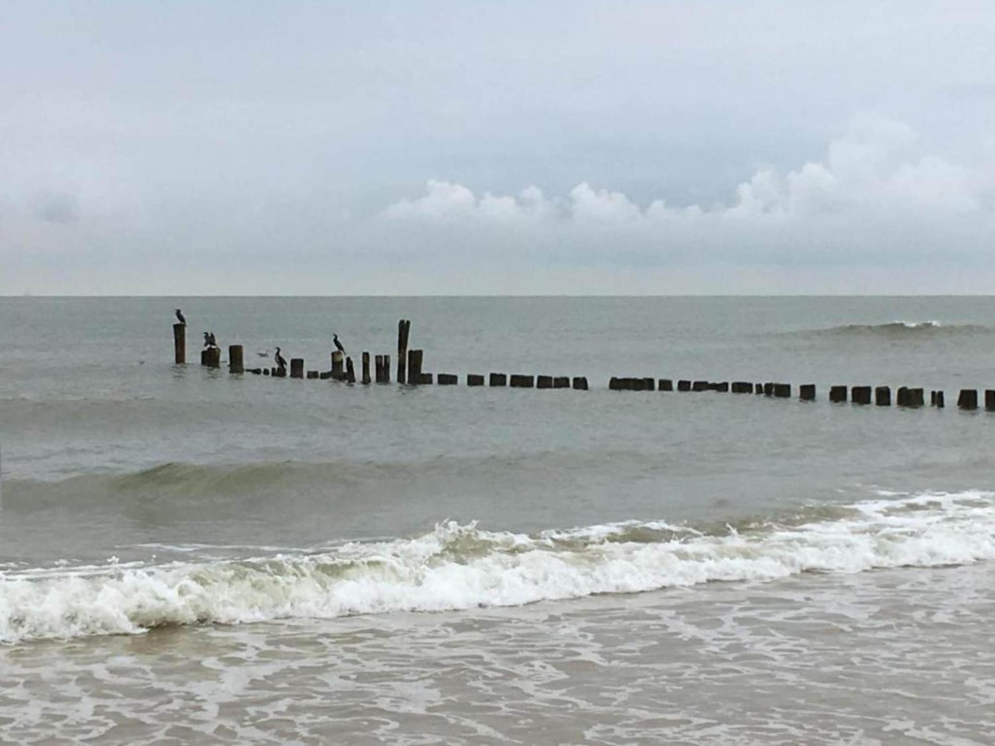 Calm Holiday Home In Bergen North Holland ภายนอก รูปภาพ