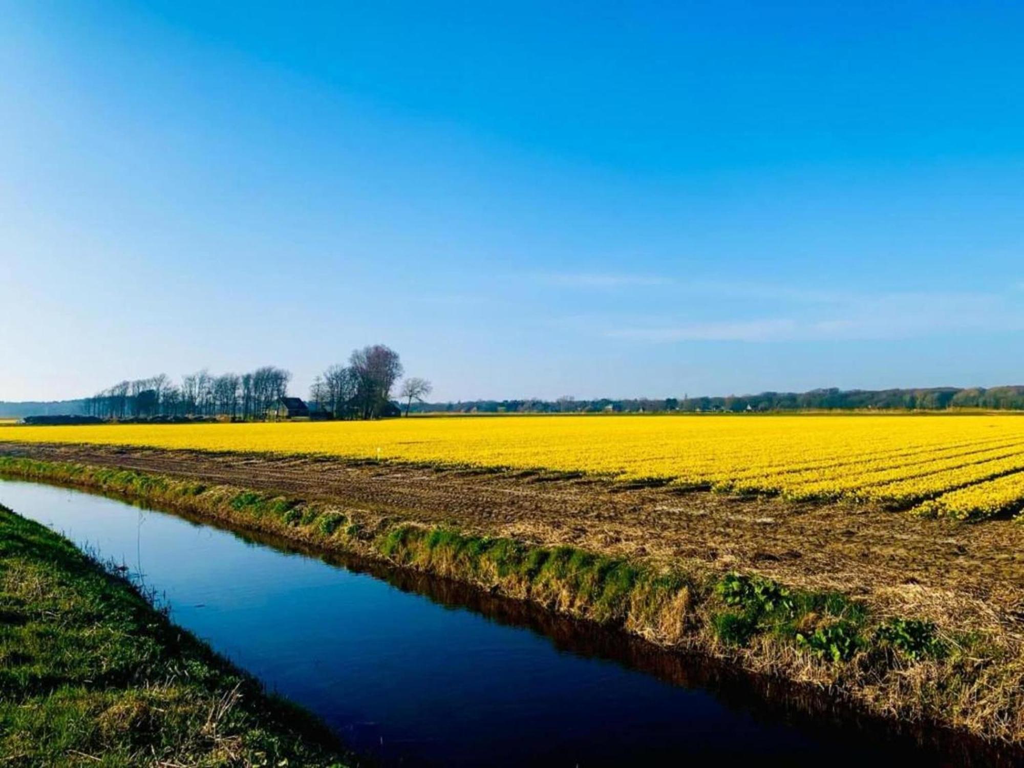 Calm Holiday Home In Bergen North Holland ภายนอก รูปภาพ